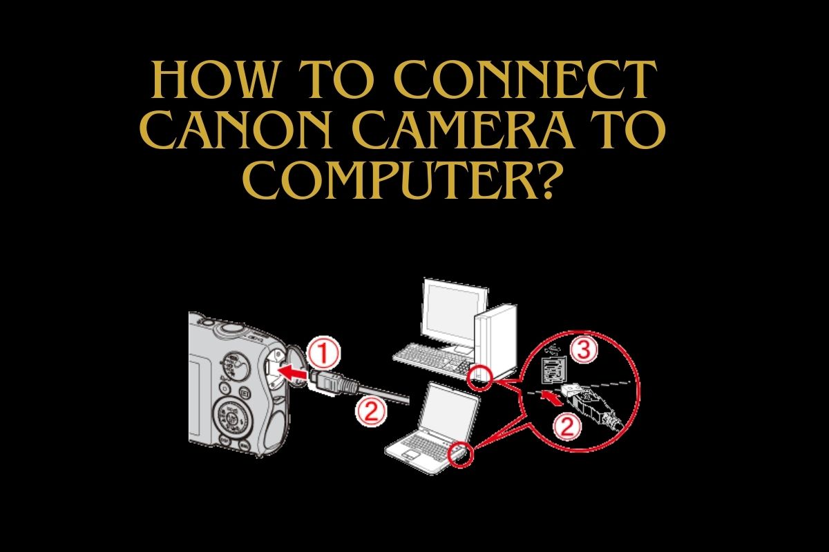How To Connect Canon Camera To Computer